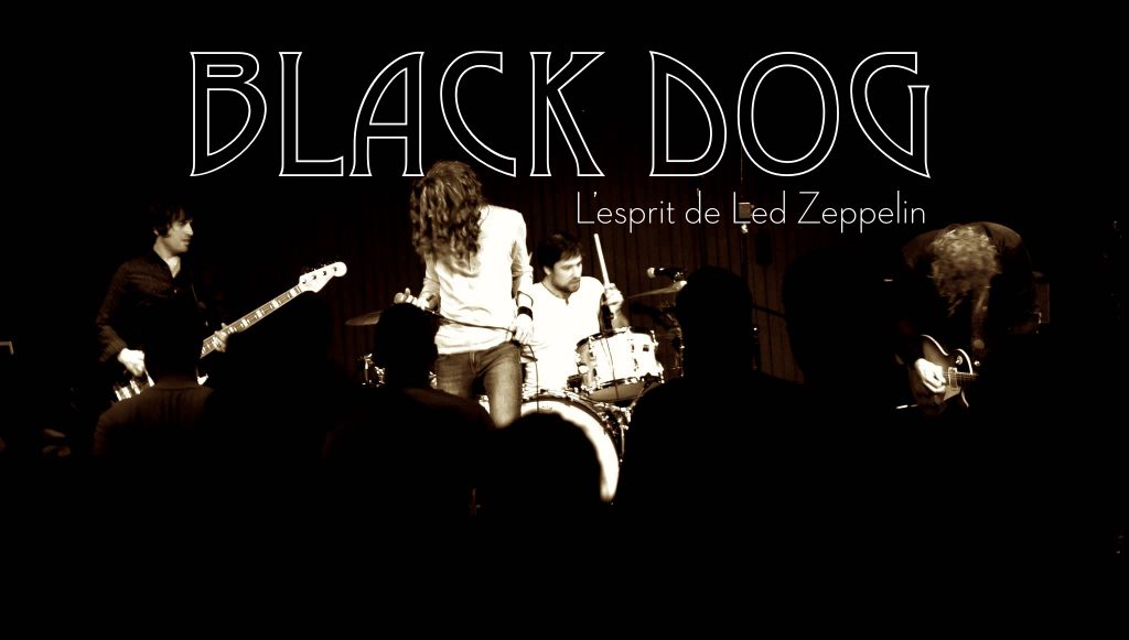 Black Dog Bio